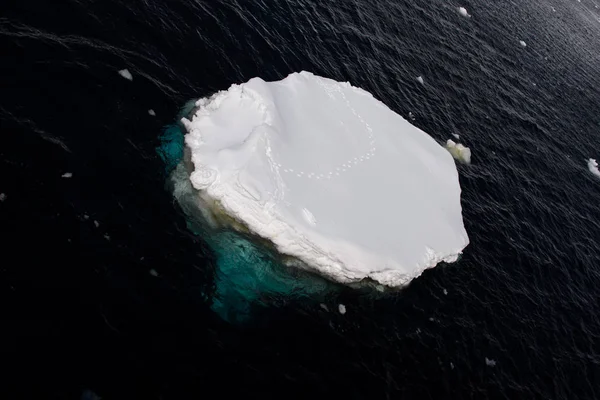 Gelo Com Pegadas Pinguim Mar Antárctico — Fotografia de Stock