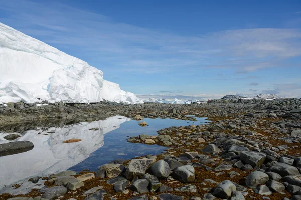 Antarktiska Landskapet Med Glaciären Och Reflektion — Stockfoto