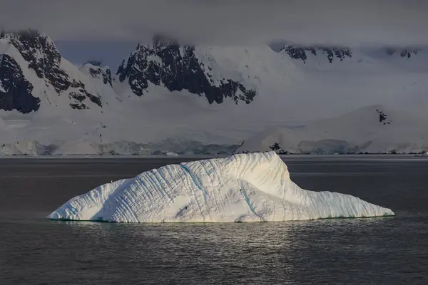 Bella Vista Sul Paesaggio Marino Antartico — Foto Stock