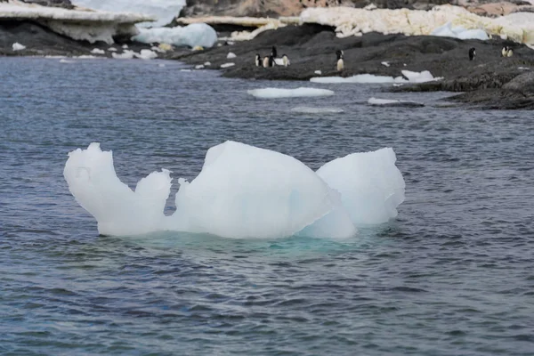Лід Плаваючий Морі Антарктичної — стокове фото