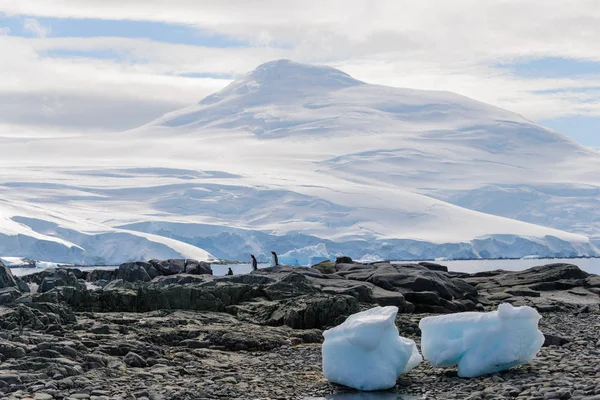 Antarktické Krajiny Ledovce — Stock fotografie