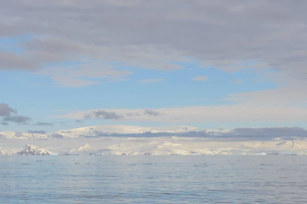 Belle Vue Sur Paysage Marin Antarctique — Photo