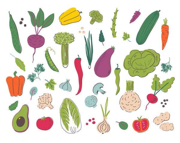 Légumes dessin à la main ensemble d'illustration — Image vectorielle