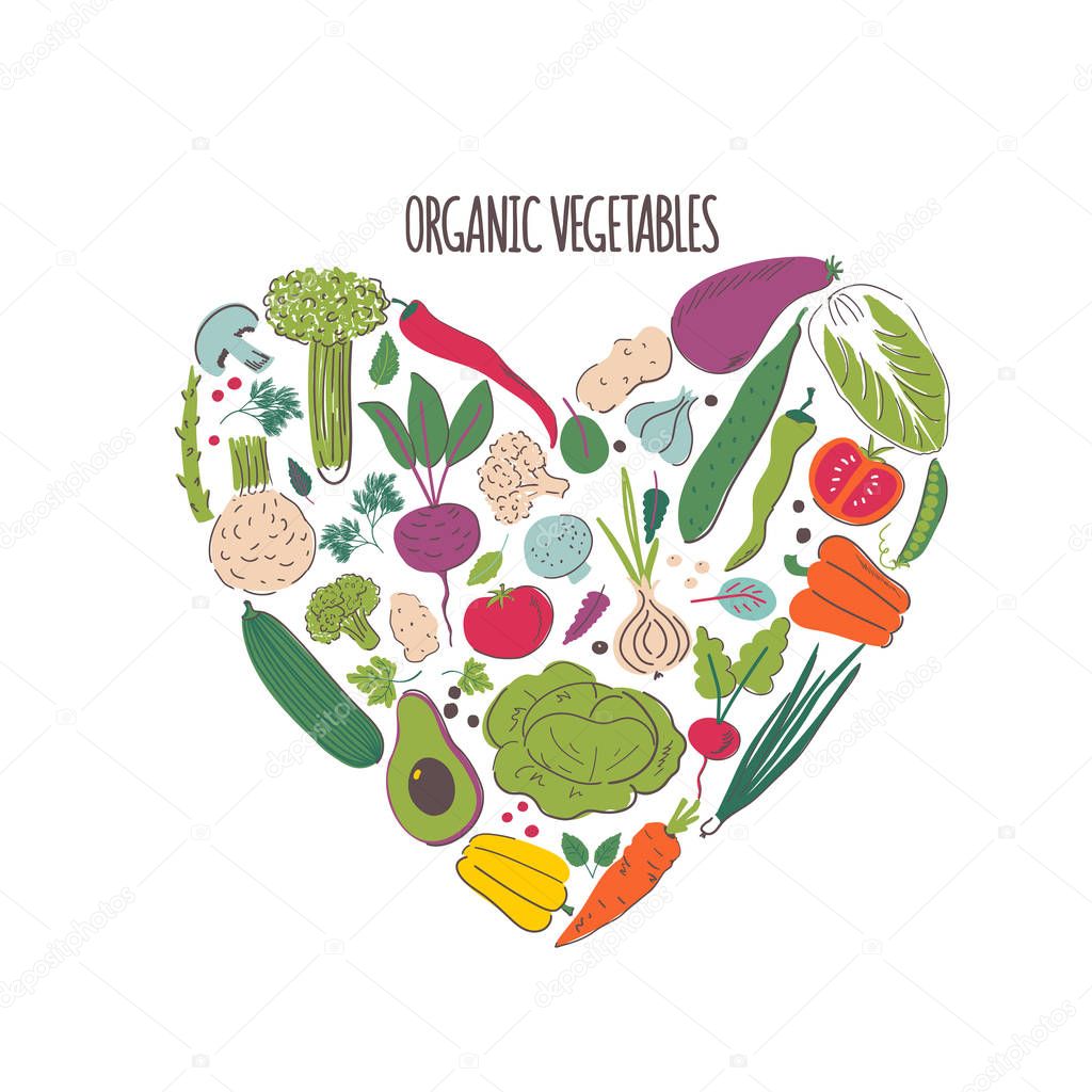 Organic vegetables hand drawn color illustration