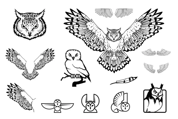 设置不同的猫头鹰 猫头鹰标志 野鸟画 猫头鹰的头 矢量图形设计 — 图库矢量图片