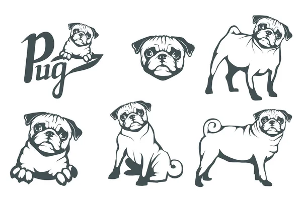 帕格狗的设置 一个帕格的头 设计的宠物 矢量图形设计 — 图库矢量图片