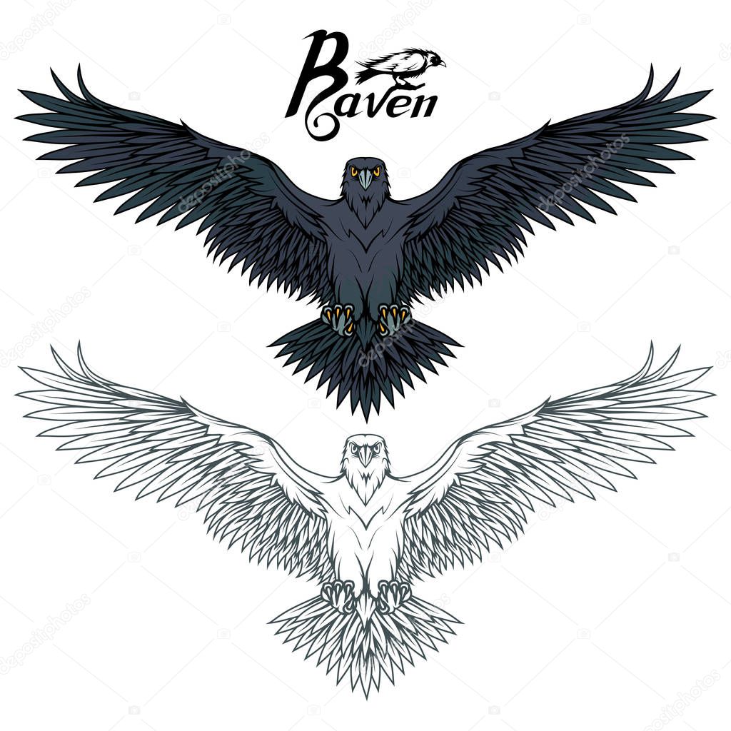 Set of different carrion-crows. Hand drawn of the raven. Wild birds drawing. Raven logo. Vector graphics to design.