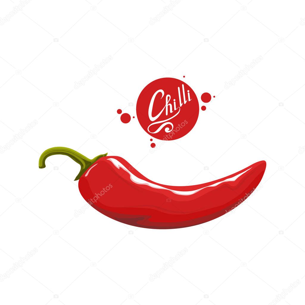 Hand drawn Red hot pepper. Spicy ingredient. Chili logo. Spice Hot Chili Pepper isolated on white background. Natural healthy food. Vector graphics to design