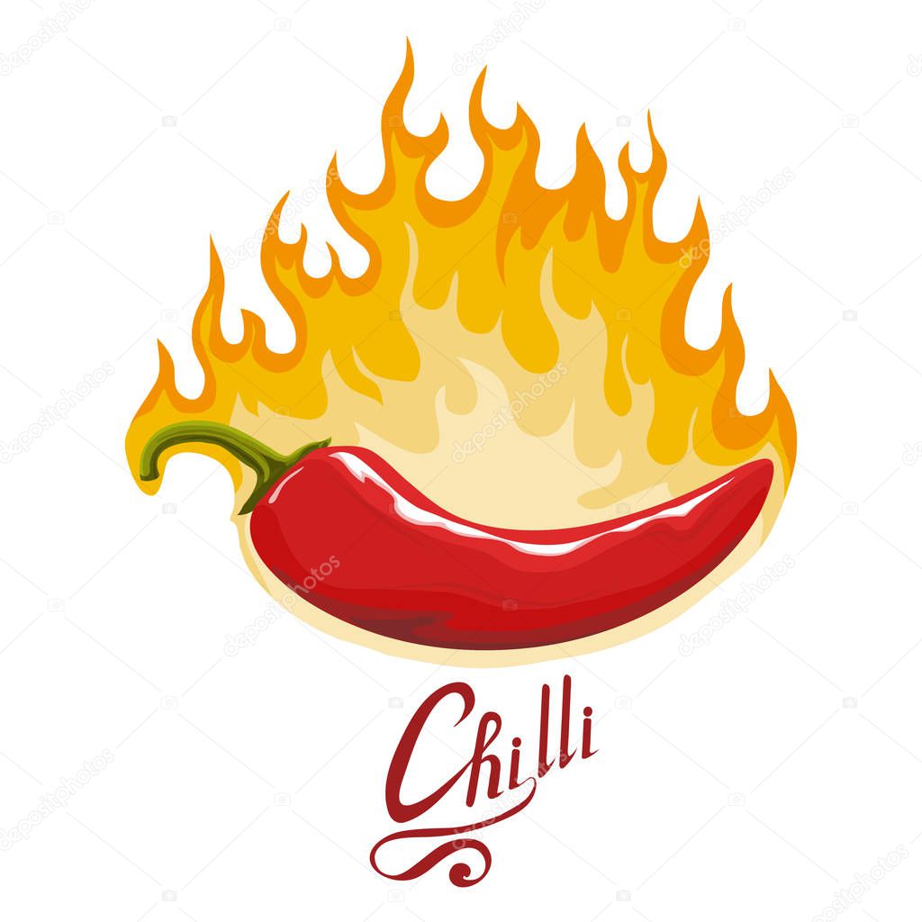 Hand drawn Red hot pepper. Spicy ingredient. Chili logo. Spice Hot Chili Pepper isolated on white background. Natural healthy food. Vector graphics to design