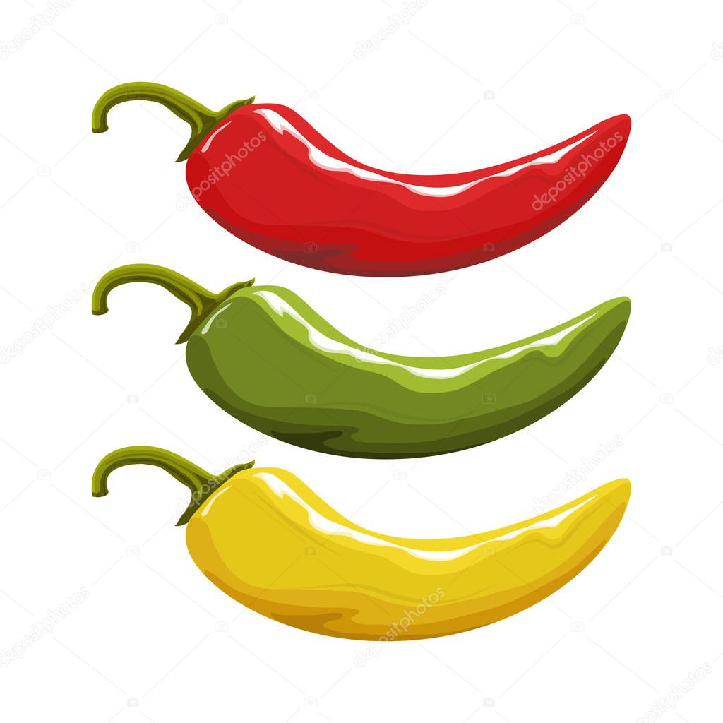 Hand drawn Red hot pepper. Spicy ingredient. Chili logo. Spice Hot Chili Pepper isolated on white background. Natural healthy food. Vector graphics to design