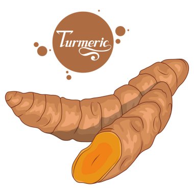 El çekilmiş zerdeçal kök, baharatlı madde, zerdeçal logosu, sağlıklı organik gıda, zerdeçal izole beyaz arka plan, mutfak ot, etiket, gıda, doğal sağlıklı gıda, vektör grafik tasarımı için baharat