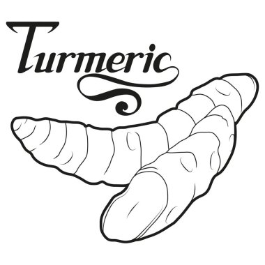 El çekilmiş zerdeçal kök, baharatlı madde, zerdeçal logosu, sağlıklı organik gıda, zerdeçal izole beyaz arka plan, mutfak ot, etiket, gıda, doğal sağlıklı gıda, vektör grafik tasarımı için baharat