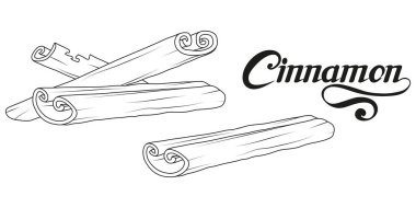 El çekilmiş tarçın, baharatlı madde, tarçın logosu, sağlıklı organik gıda, beyaz arka plan, mutfak otlar, etiket, gıda, doğal sağlıklı gıda, vektör grafik tasarımı için tarçın baharat