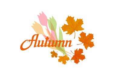 çizilmiş sonbahar yazı ver, sonbahar konsepti izole beyaz arka plan üzerinde renkli, sonbahar renk gösteren resim, logo, afiş, poster, kart, etiket, rozet, afiş, için şablonlar bırakır oktoberfest