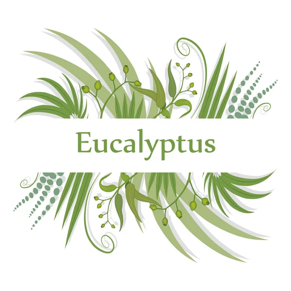 Hand Getekende Eucalyptus Bloem Eucalyptus Bladeren Groene Bladeren Medische Plant — Stockvector