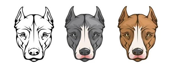 Pit Bull Terrier Pit Bull Americano Logotipo Mascotas Pitbull Perro — Archivo Imágenes Vectoriales