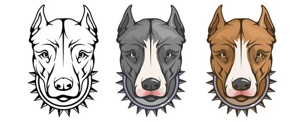 Pit Bull Terrier Pit Bull Americano Logotipo Animal Estimação Pitbull —  Vetores de Stock