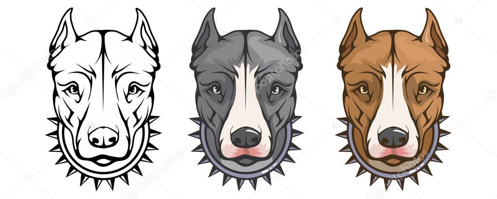 Pit bull terrier, american pit bull, pet logo, dog pitbull, colored pets for design, colour illustration suitable as logo or team mascot, dog illustration, vector graphics to design