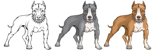 Pit Bull Terrier American Pit Bull Pet Logo Dog Pitbull — Stock Vector