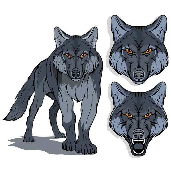 被隔绝在白色背景 颜色例证 适合作为标志或队吉祥物 危险森林捕食者 狼的头 狂放的动物 灰狼在充分的成长 矢量图设计 — 图库矢量图片