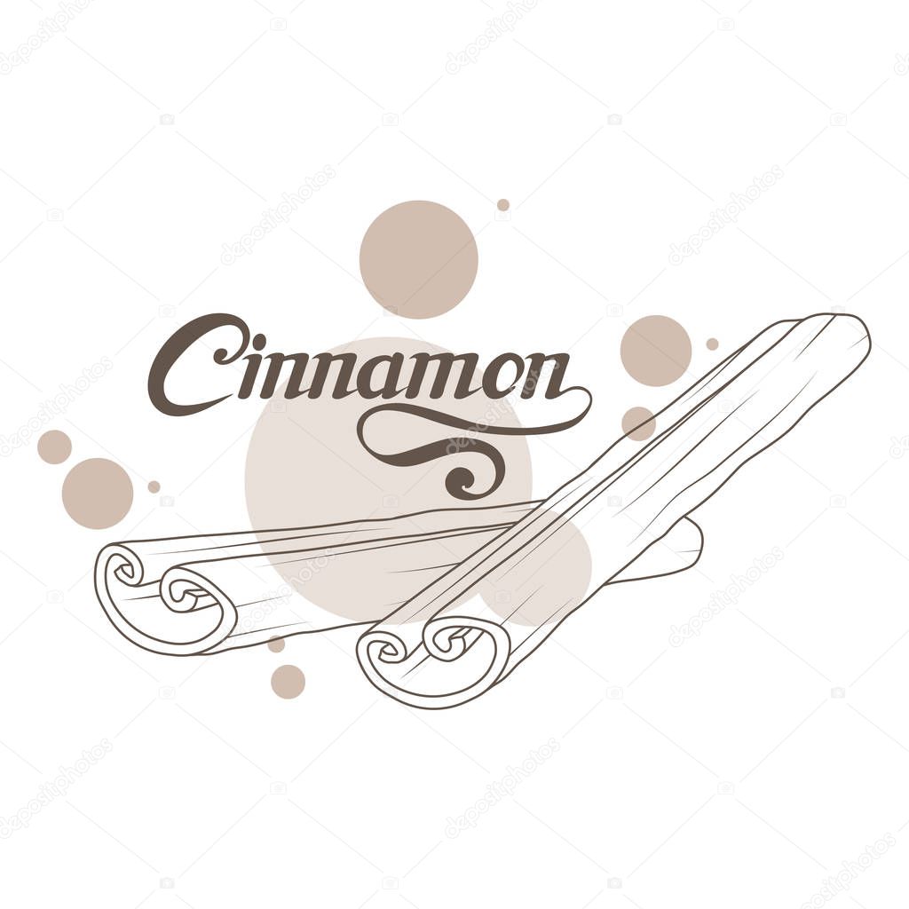 Hand drawn cinnamon sticks, spicy ingredient, cinnamon logo, healthy organic food, spice cinnamon on white background, culinary herbs, label, food, natural healthy food, vector graphic to design