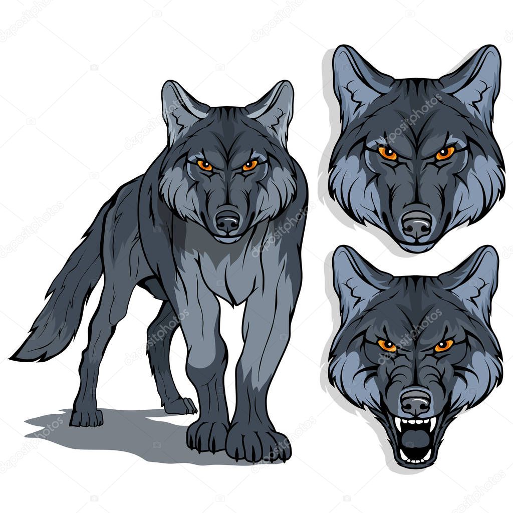 wolf, isolated on white background, colour illustration, suitable as logo or team mascot, dangerous forest predator, wolf's head, wild animal, gray wolf in full growth, vector graphics to design