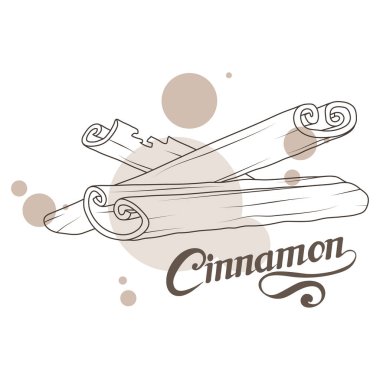 El çekilmiş tarçın, baharatlı madde, tarçın logosu, sağlıklı organik gıda, beyaz arka plan, mutfak otlar, etiket, gıda, doğal sağlıklı gıda, vektör grafik tasarımı için tarçın baharat