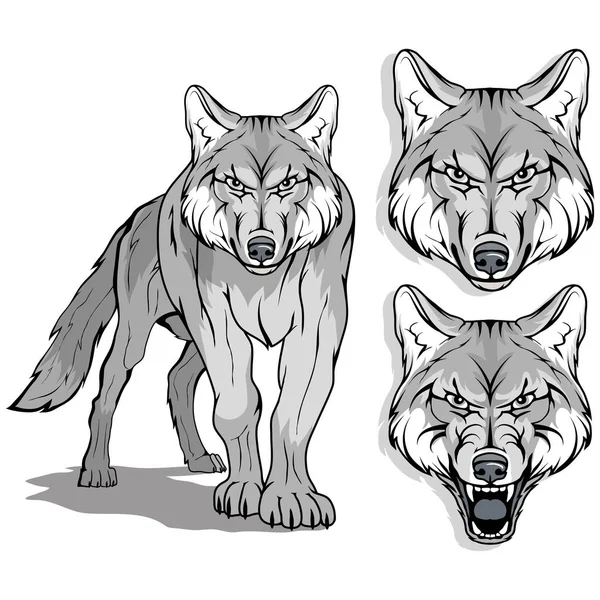 Wolf Isolated White Background Colour Illustration Suitable Logo Team Mascot — стоковый вектор