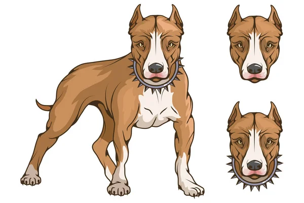 Pit Bull Terrier Pit Bull Americano Logotipo Mascotas Pitbull Perro — Archivo Imágenes Vectoriales