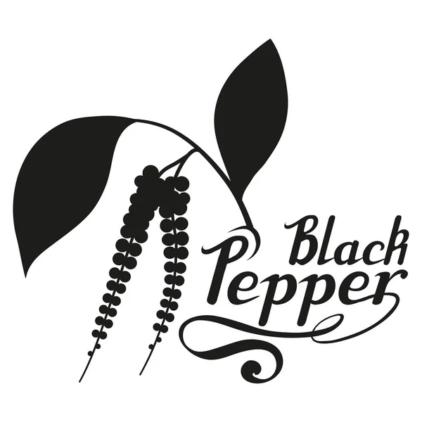 Черный Перец Ручной Работы Пряный Ингредиент Логотип Черного Перца Здоровые — стоковый вектор