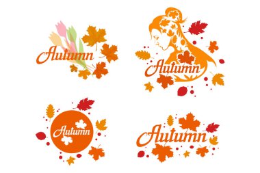 çizilmiş sonbahar yazı ver, sonbahar konsepti izole beyaz arka plan üzerinde renkli, sonbahar renk gösteren resim, logo, afiş, poster, kart, etiket, rozet, afiş, için şablonlar bırakır oktoberfest