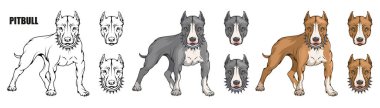 çukur boğa korkunç, Amerikalı çukur boğa, evde beslenen hayvan logo, köpek pitbull, tasarım, illüstrasyon renk logo veya takım maskotu uygun, köpek illüstrasyon, renkli Evcil hayvan vektör grafik tasarım