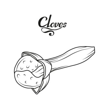 El çekilmiş diş bitki, baharatlı madde, karanfil logosu, sağlıklı organik gıda, izole beyaz arka plan, mutfak otlar, etiket, gıda, doğal sağlıklı gıda, vektör grafik tasarımı için karanfil baharat