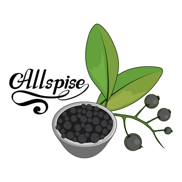 Рисованные Вручную Специи Пряный Ингредиент Логотип Allspice Здоровые Органические Продукты — стоковый вектор