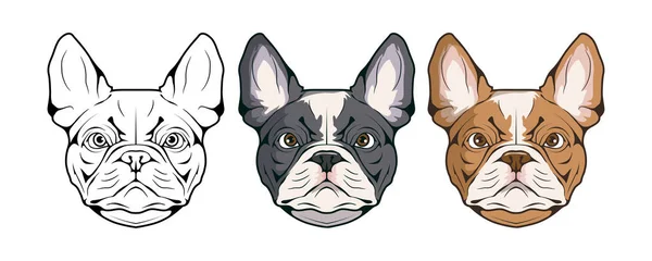 Bulldog Francês Logotipo Animal Estimação Cão Bulldog Francês Animais Estimação — Vetor de Stock