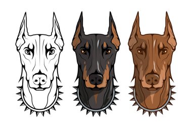 Doberman pinscher, Amerikan doberman, evde beslenen hayvan logo, köpek doberman, tasarım, illüstrasyon renk logo veya takım maskotu uygun, köpek illüstrasyon, renkli Evcil hayvan vektör grafik tasarım
