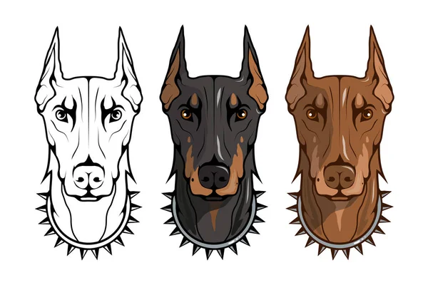 Doberman Pinscher Doberman Americano Logotipo Animal Estimação Doberman Cão Animais — Vetor de Stock