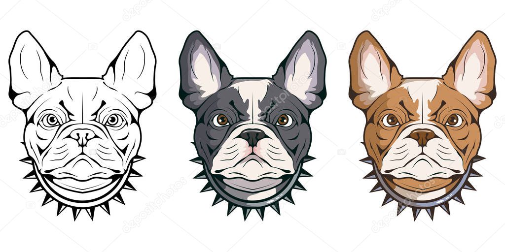 french bulldog, pet logo, dog french bulldog, colored pets for design, french bulldog puppy, colour illustration suitable as logo or team mascot, dog illustration, vector graphics to design