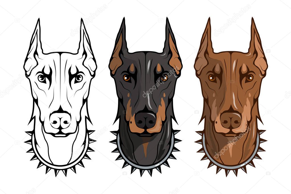 doberman pinscher, american doberman, pet logo, dog doberman, colored pets for design, colour illustration suitable as logo or team mascot, dog illustration, vector graphics to design