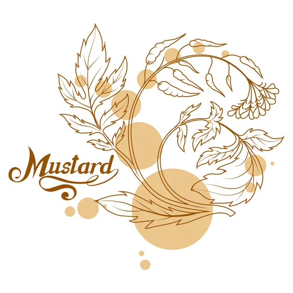 Χέρι Συντάσσονται Εργοστάσιο Μουστάρδας Πικάντικο Συστατικό Μουστάρδα Λογότυπο Υγιεινών Βιολογικών — Διανυσματικό Αρχείο