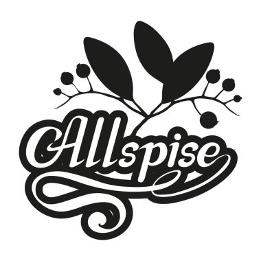 El çekilmiş yenibahar, baharatlı madde, yenibahar logosu, sağlıklı organik gıda, yenibahar izole beyaz arka plan, mutfak otlar, etiket, gıda, doğal sağlıklı gıda, vektör grafik tasarımı için baharat