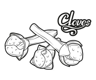 El çekilmiş diş bitki, baharatlı madde, karanfil logosu, sağlıklı organik gıda, izole beyaz arka plan, mutfak otlar, etiket, gıda, doğal sağlıklı gıda, vektör grafik tasarımı için karanfil baharat