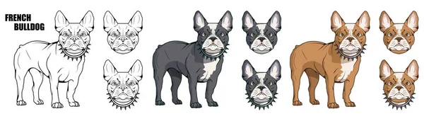 Bulldog Francés Logotipo Mascota Perro Bulldog Francés Mascotas Colores Para — Archivo Imágenes Vectoriales