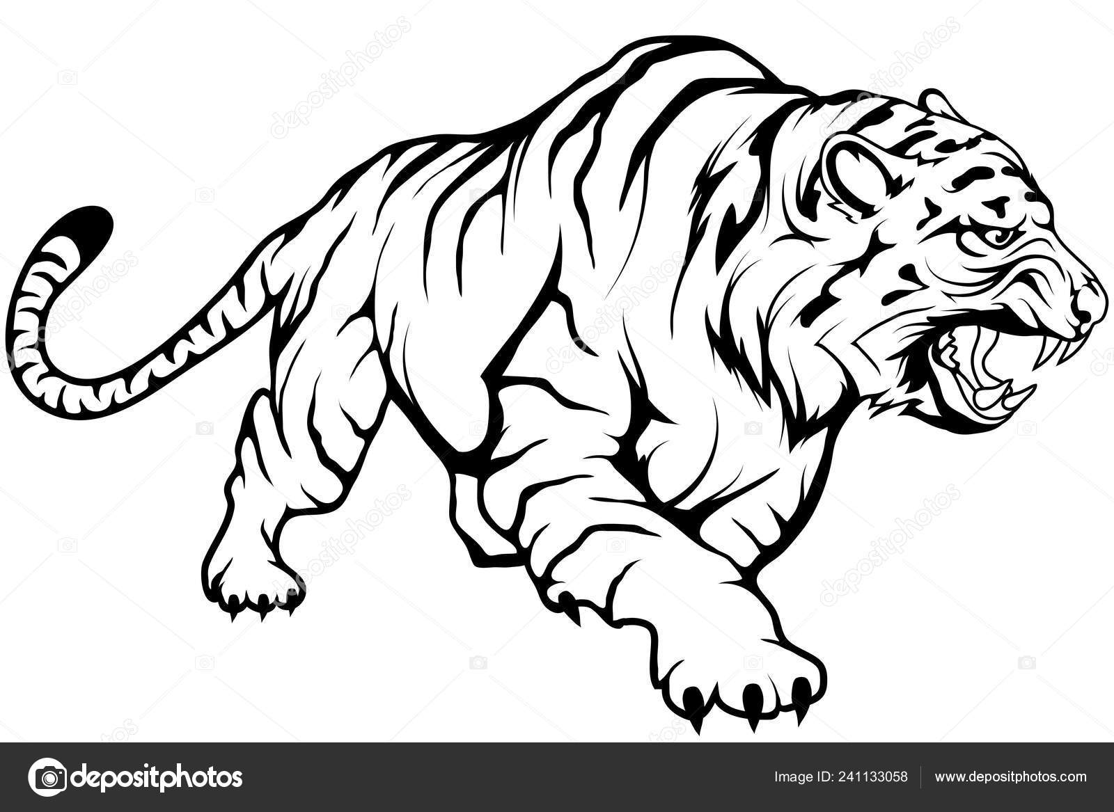 Como Desenhar Uma Ilustração Vetorial Tigre Desenhe Tigre Fácil Passo  imagem vetorial de NutkinsJ© 444607566