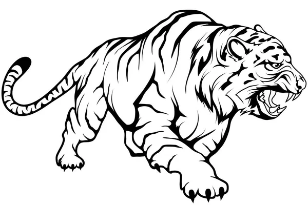 Векторный Рисунок Тигра Рисунок Тигра Полный Рост Приседание Тигра Черно — стоковый вектор