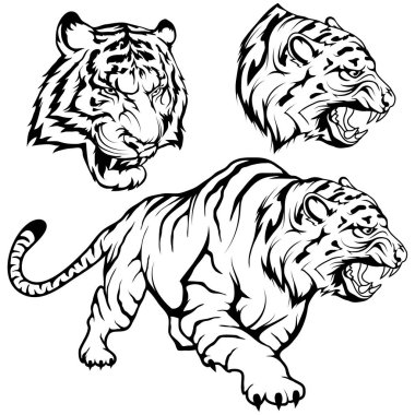 Kaplan, logo veya takımın maskotu uygun ayarla çizim kaplan tam büyüme kroki, crouching tiger siyah ve beyaz, vektör grafik tasarım