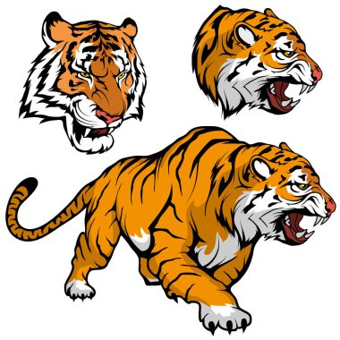 Bengal kaplanı takım maskotu olarak logo kullanımı uygun ayarla, Kraliyet kaplan çizim içinde tam büyüme, kaplan maskot grafik, vektör grafik tasarlamak için kroki