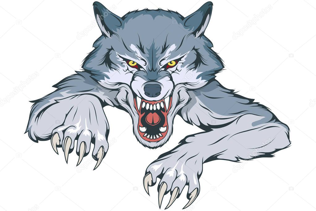 Gray Wolf suitable as logo for team mascot, Wild wolf drawing sketch, Wolf Mascot Graphic, vector graphic to design