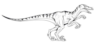 velociraptor vector dinosaur , vector graphic to design clipart