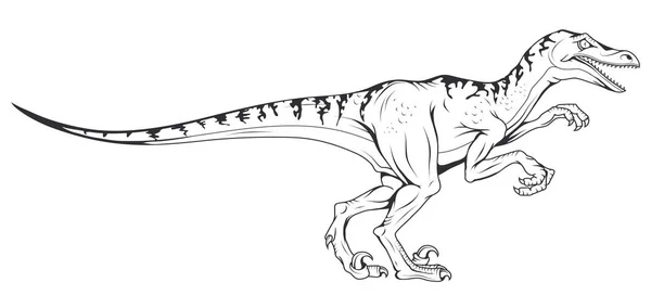 Velociraptor vector dinosaur , vector graphic to design — Stock Vector